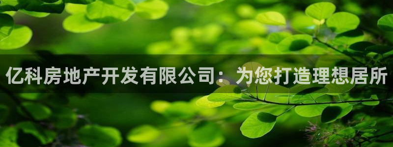 永利现场