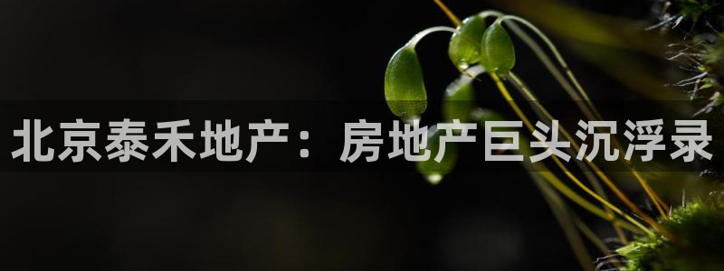 永利提不了款怎么办