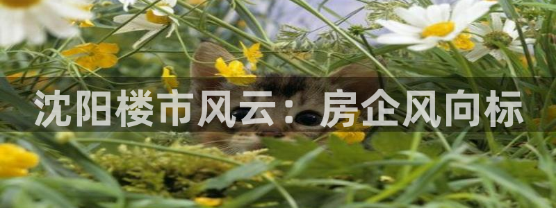 永利网络科技有限公司