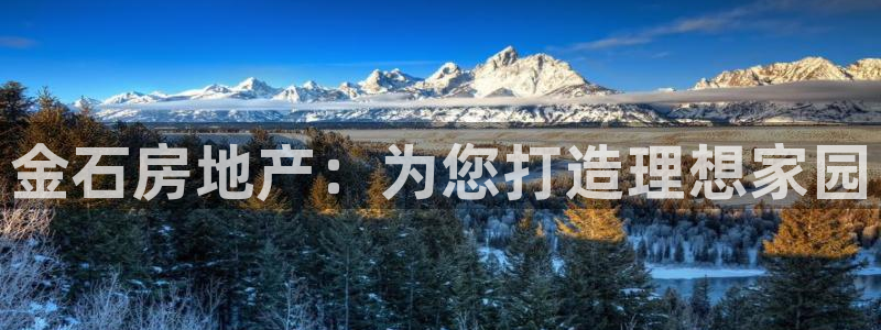 佛山永利批发市场在哪里