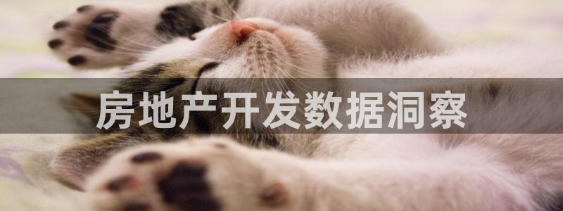 永利皮革有限公司