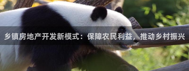 永利 陈志玲