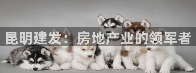 佛山王永利工业皮带有限公司