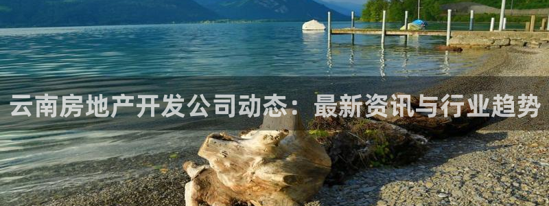 永利皇府黄立青简历