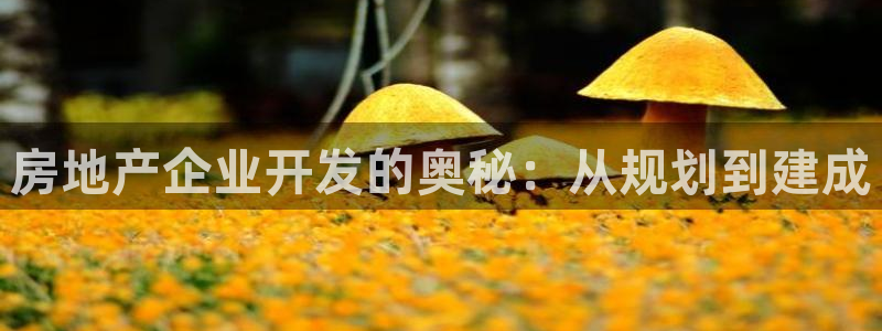 澳门永利是真的假的