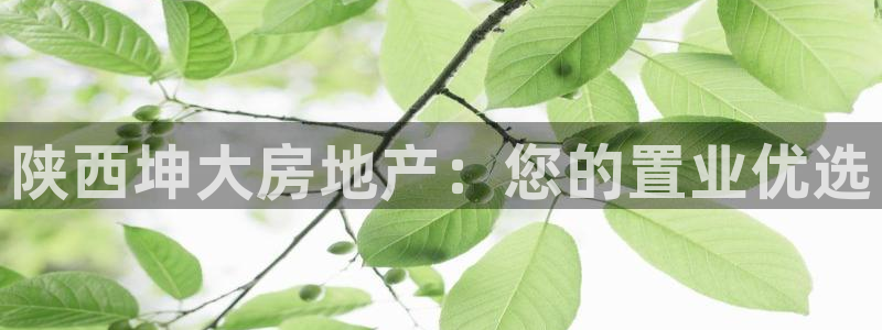 永利汇客房价格
