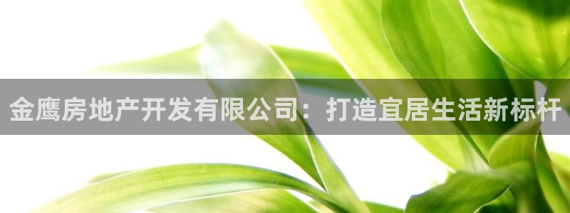 永利保险公司介绍