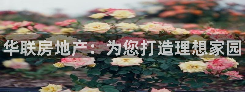 永利股份利空消息