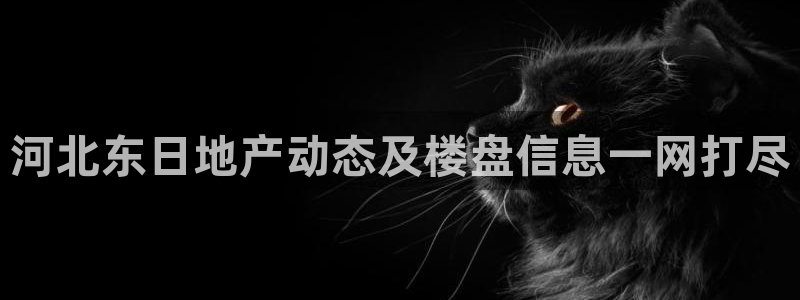 永利汇团购