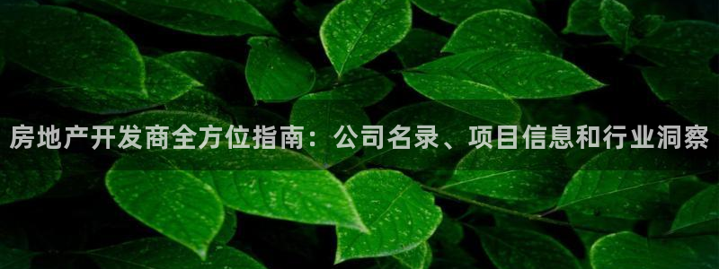永利网是干什么的,能挣到钱吗知乎