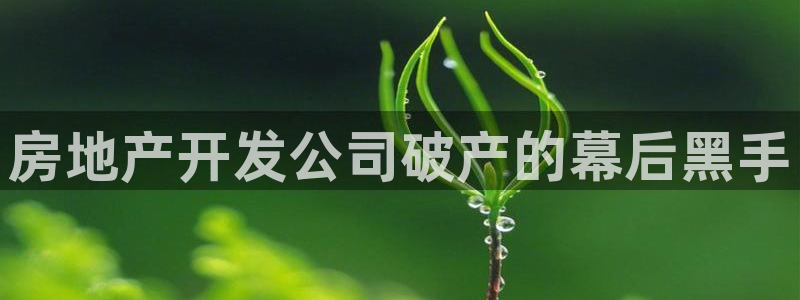 永利工业制带