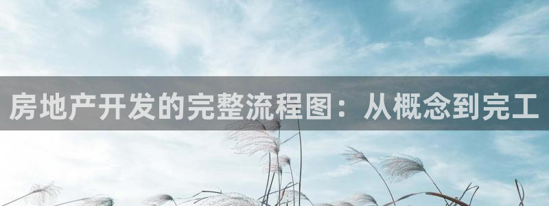 永利是做什么的