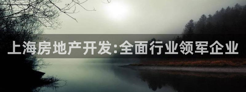 澳门永利误乐城图片