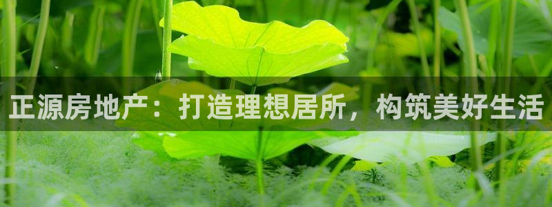 永利汇茶具有限公司