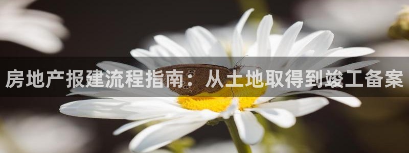 永利钻石会员