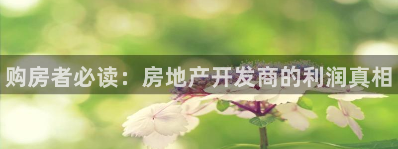 永利提款提不出来
