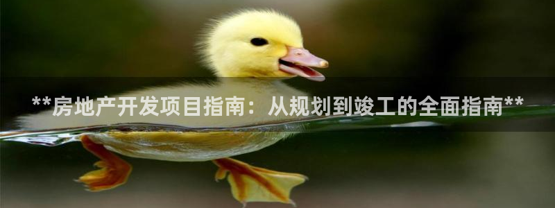 永利网怎么了打不开