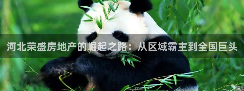 永利带业 皮带 输送带 价格