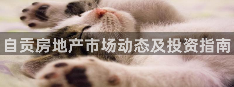 永利网是不是真的便宜