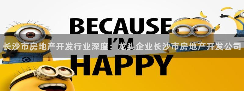 佛山永利工业皮带有限公司