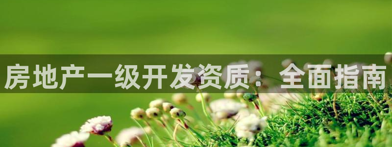 永利汇茶具怎么样