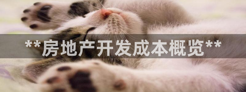 永利有限责任公司