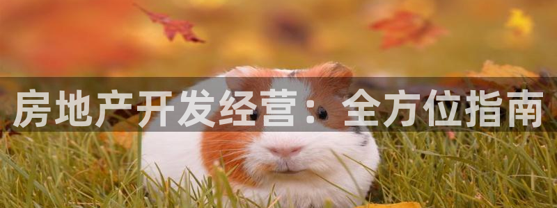 永利纺织