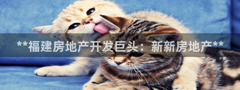 永利皮带型号说明书