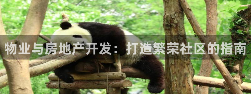 永利股吧