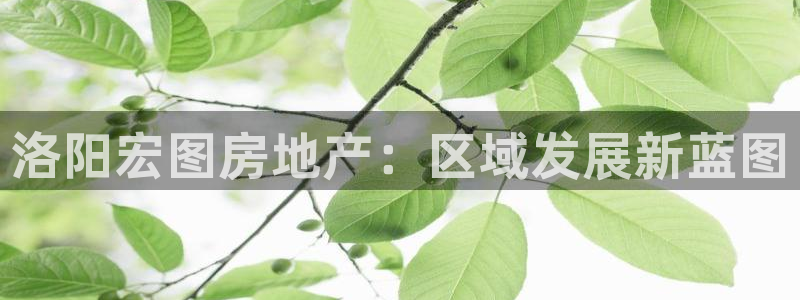 永利皇府黄立青身价