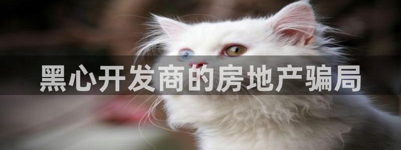 永利官网服务承诺在哪