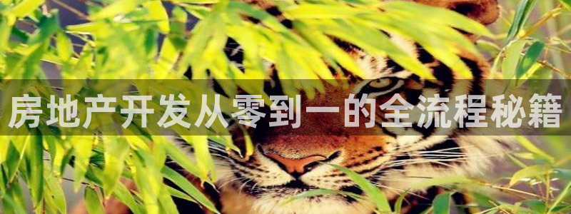 永利纺织有限公司