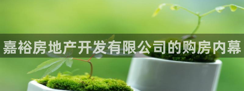 澳门永利集团简介