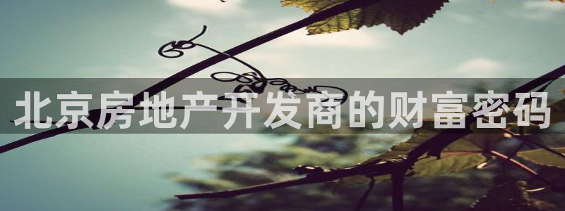 鄂尔多斯永利煤矿老板