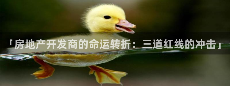 永利汇spa