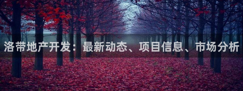 永利保险公司介绍