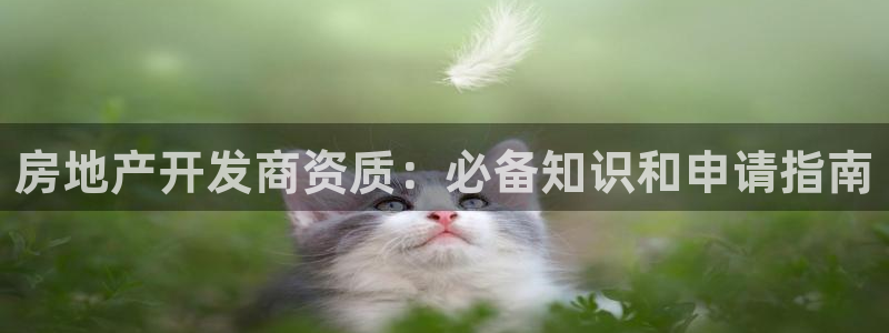永利股份最新
