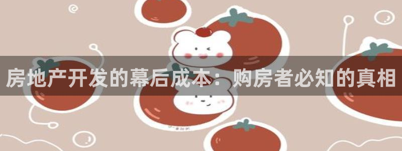 永利皮带型号说明图解