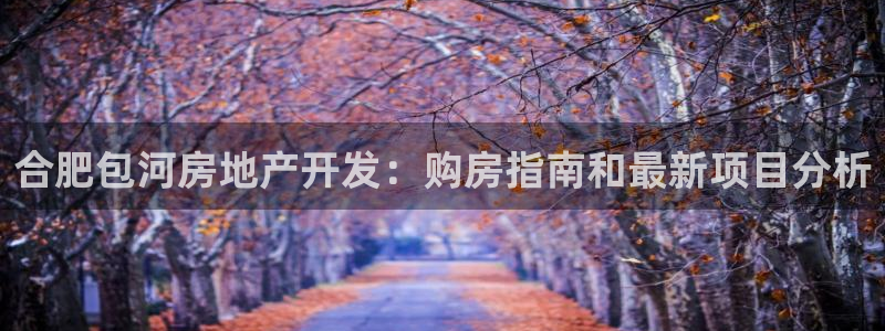 永利房地产开发有限公司