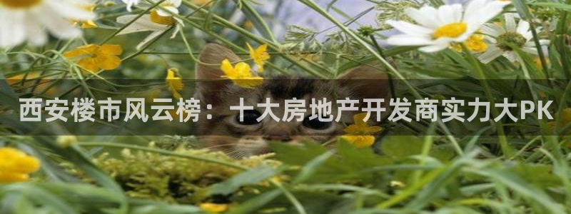 永利中国东北菜