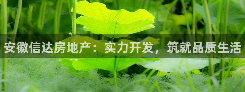 永利股份两大最新消息是什么