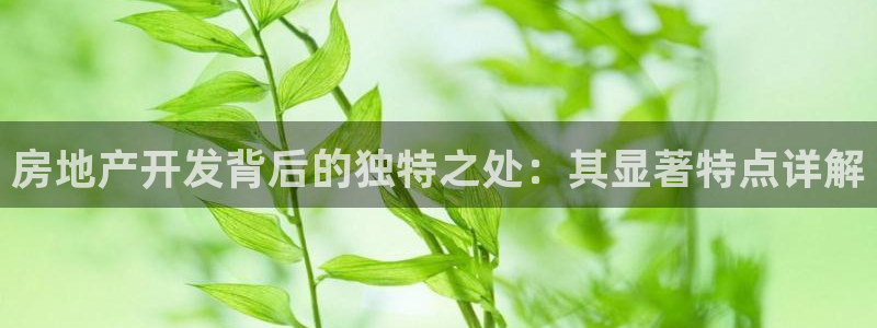 永利表行是正品吗