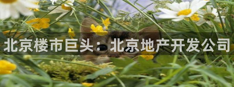 佛山永利达金属制品有限公司