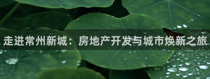 永利玩法