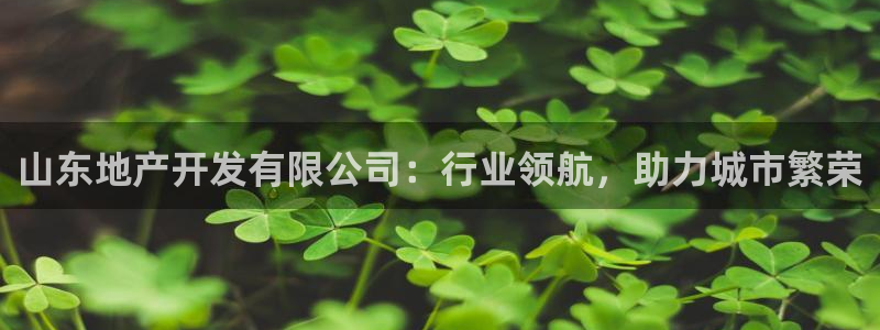 永利表行是正品吗