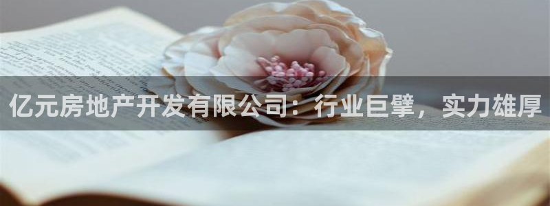 佛山永利工业皮带有限公司