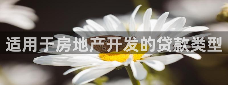 永利官网误乐域一个币多少钱