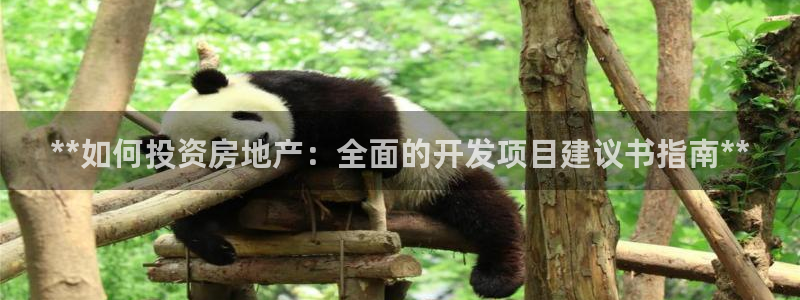 永利房地产开发有限公司总经理