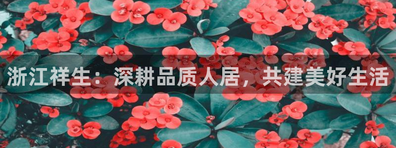 永利官网是什么
