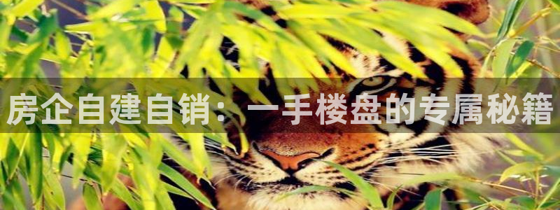 永利官网服务承诺